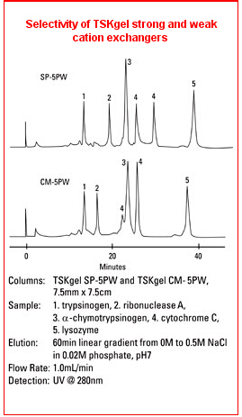 5d4b973f28395.png A1.png